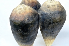 Tři-2026-33x33x38-cm